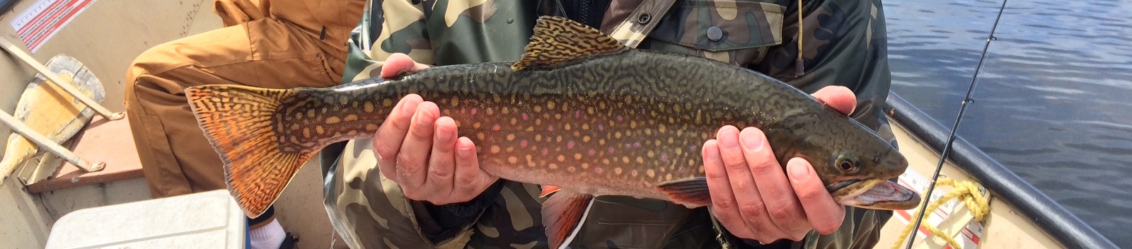 Speck Fishing Lake Nipigon