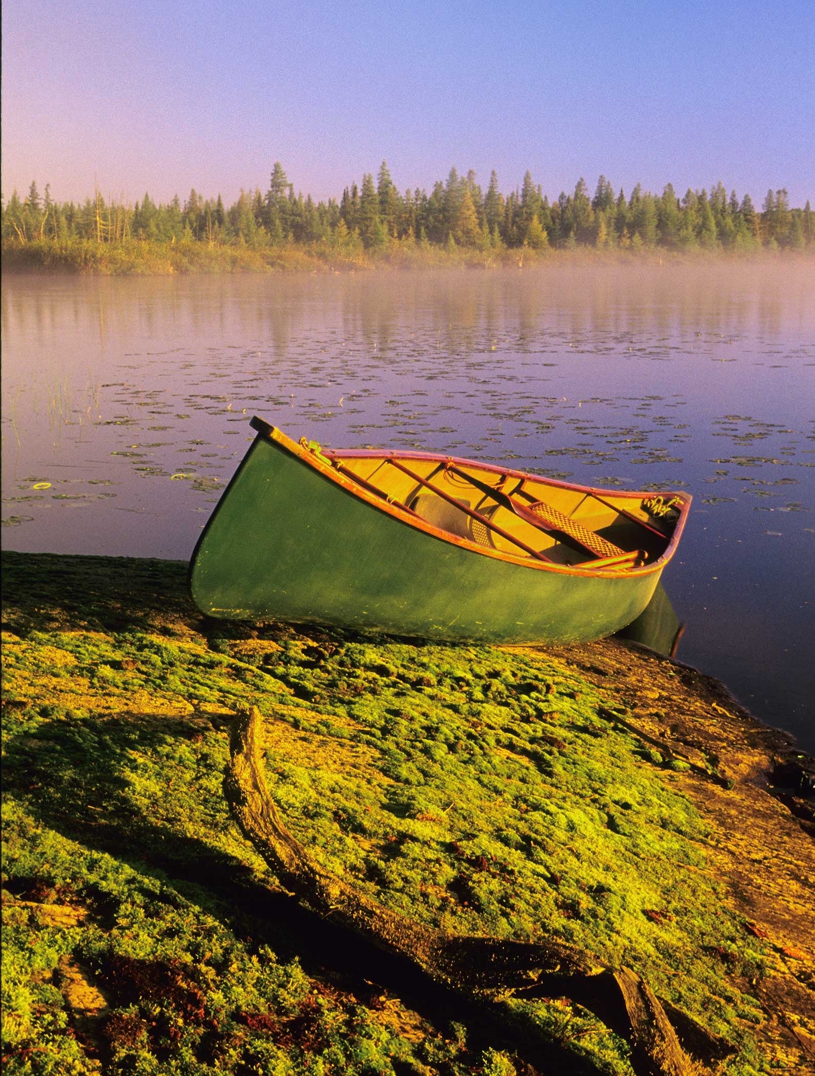 Canoe in the water