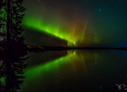 northern lights over a body of water