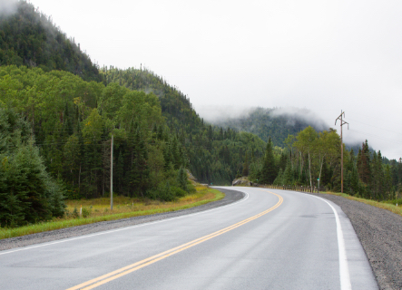 clear road through forest-laden countryside